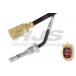 HJS Sensor, Abgastemperatur
